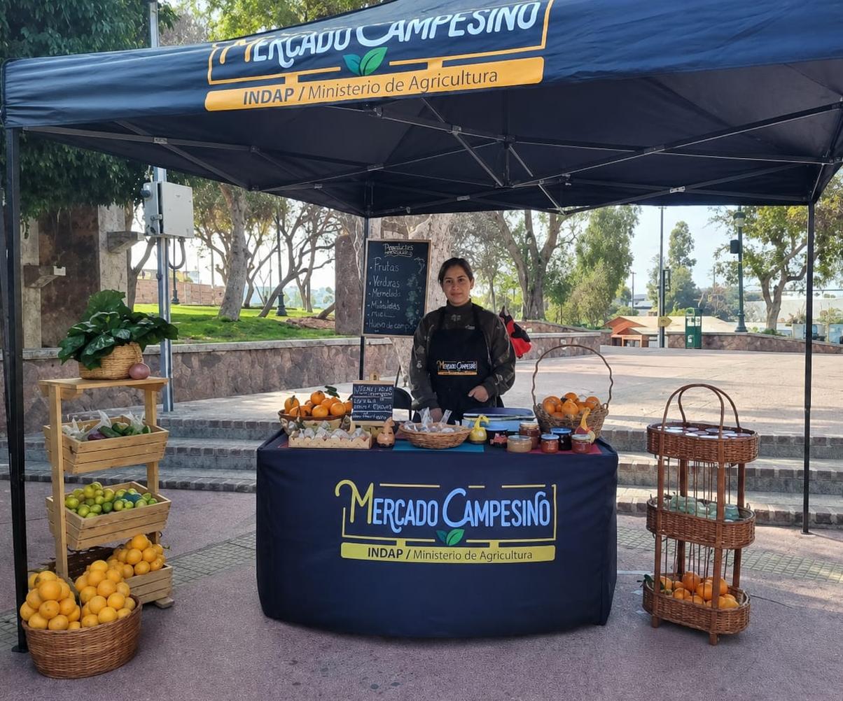 Agricultora de Monte Patria vende snacks naturales en Mercado Campesino de INDAP