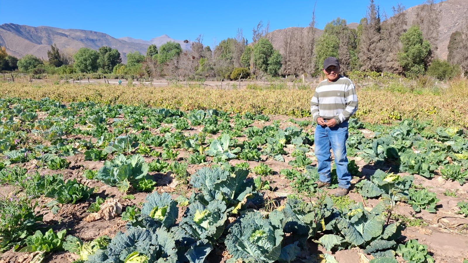 Agricultor de 74 años en Salamanca: 'Lo valioso es dar trabajo y alimentar a la gente'