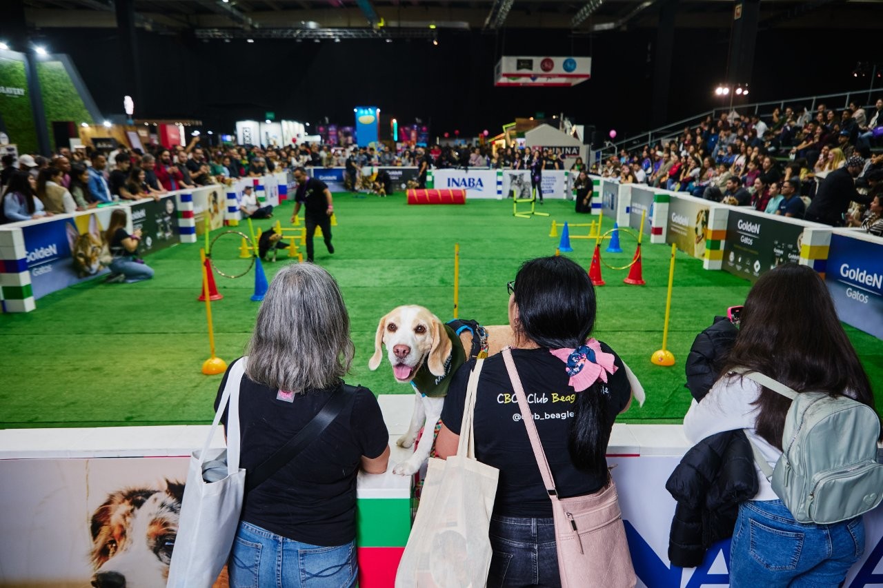 Expo Mascotas & Animales llega a su décimo cuarta versión en Santiago