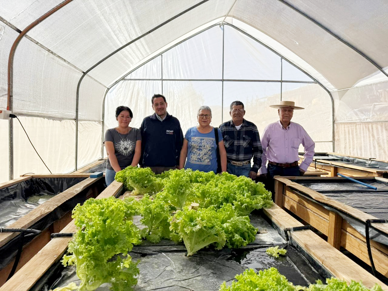 540 agricultores de Combarbalá reciben capital de trabajo de INDAP