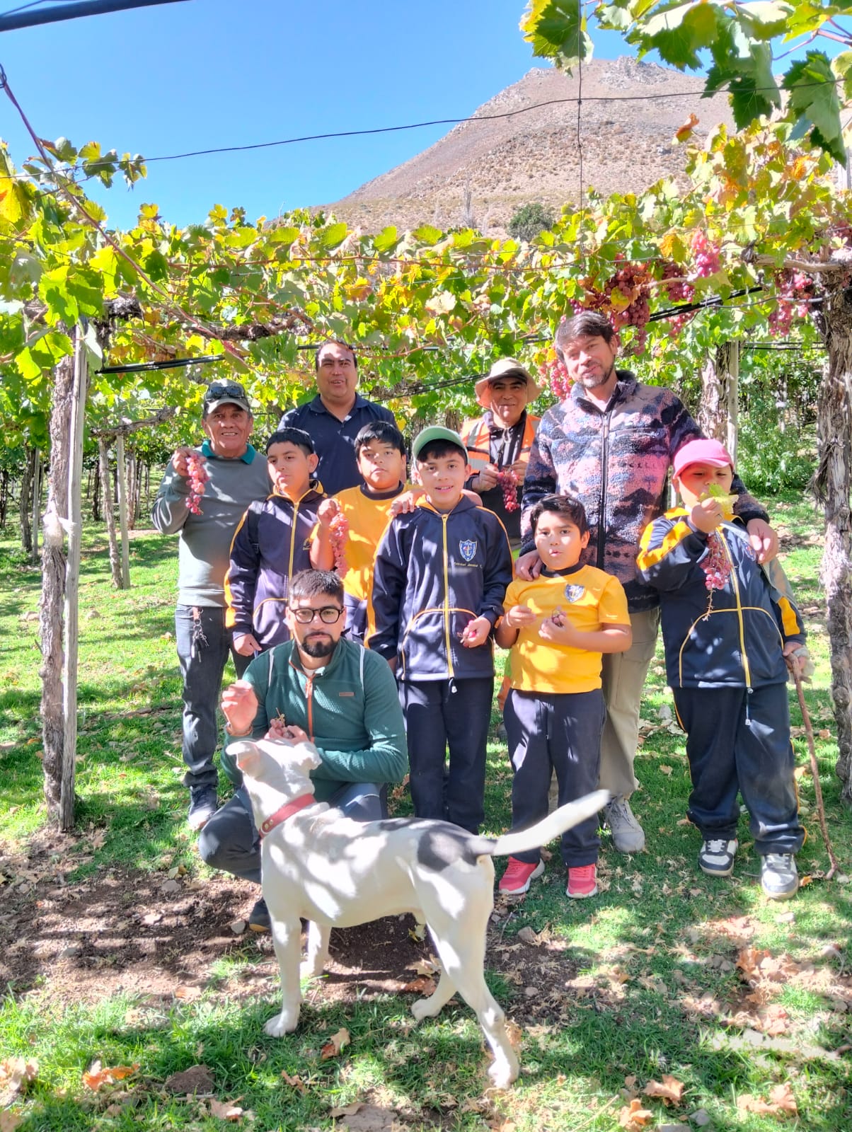 Docente de Monte Patria gana premio internacional de educación