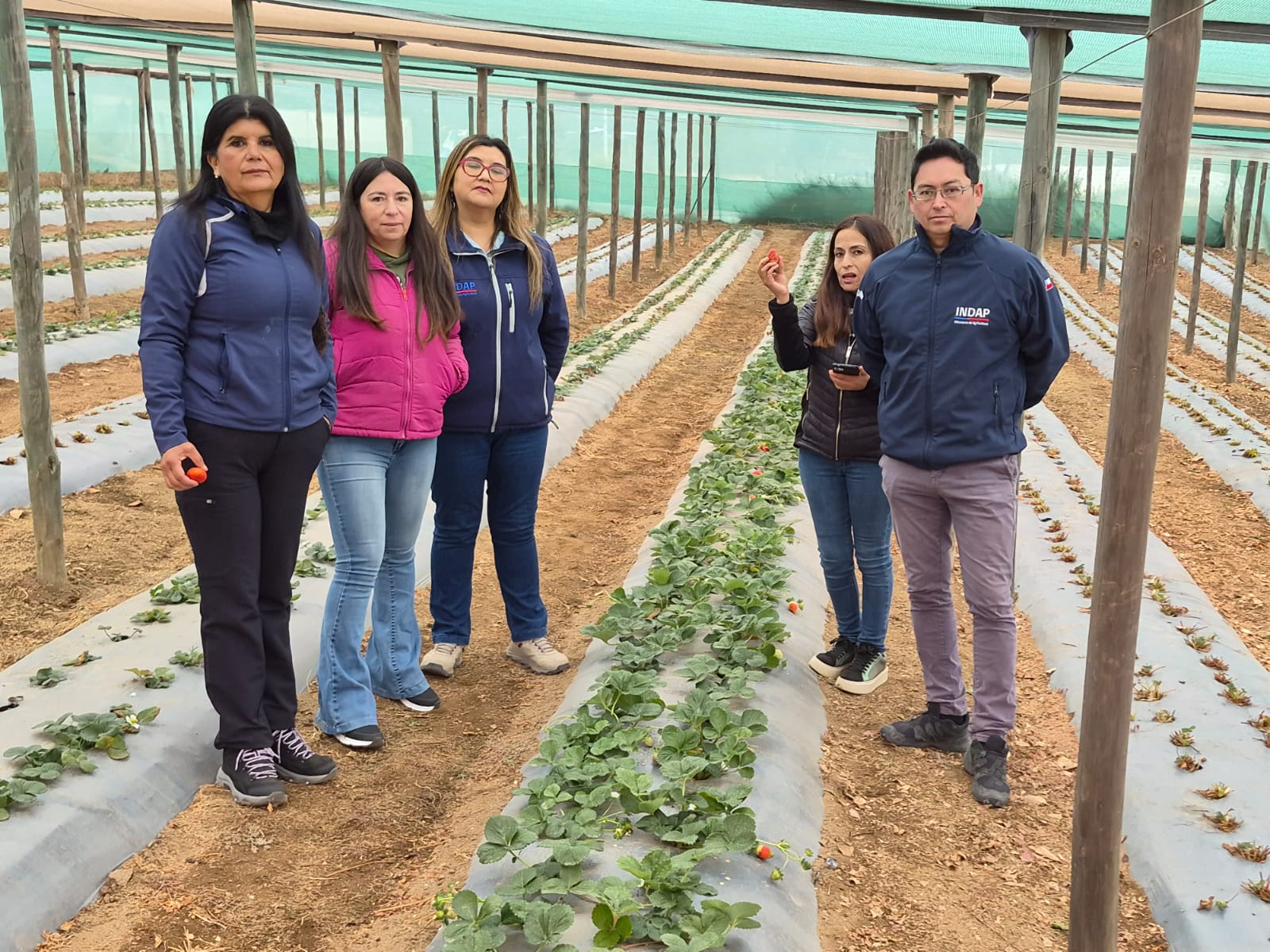 Dirigentes de INDAP recorren predios agrícolas en Combarbalá — foto 1