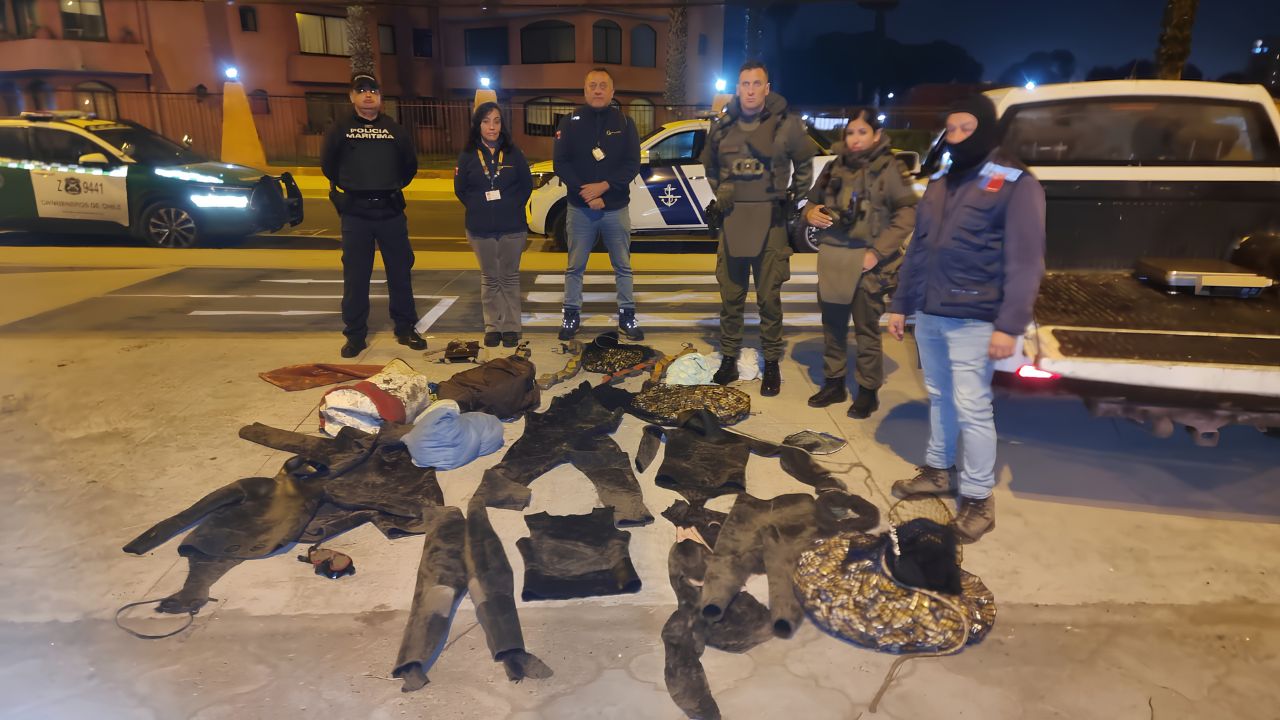 Cuatro detenidos por extracción ilegal de machas en Peñuelas — foto 1