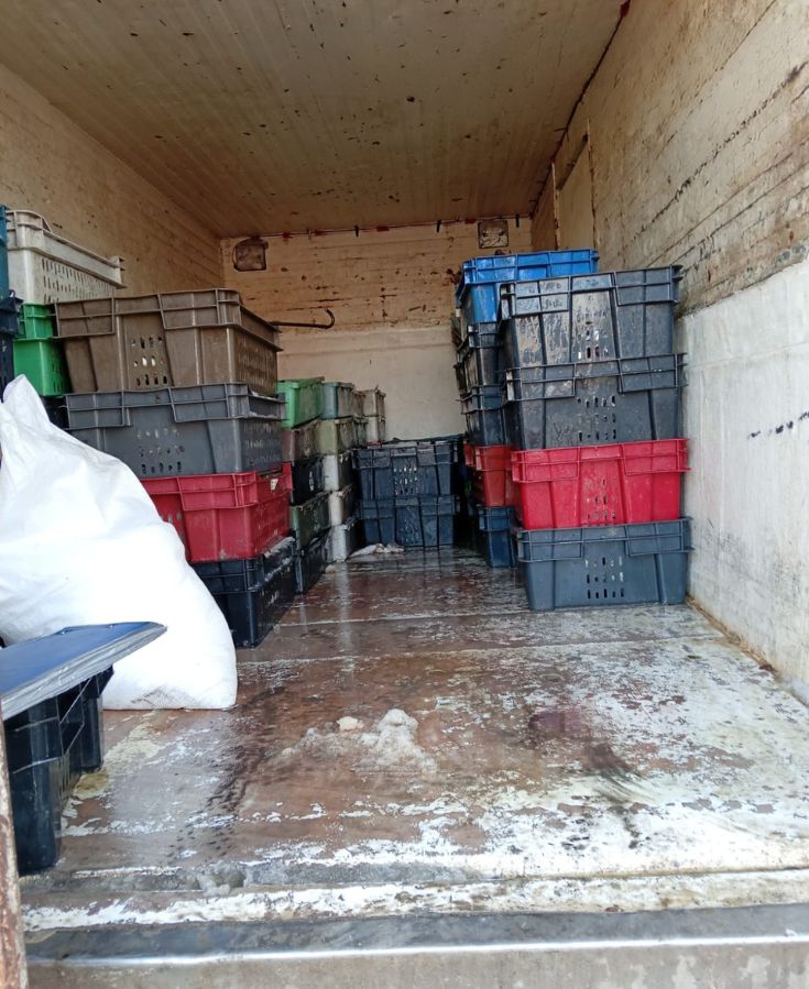Incautan 1,9 toneladas de pescado ilegal en Terminal Pesquero de Coquimbo — foto 4