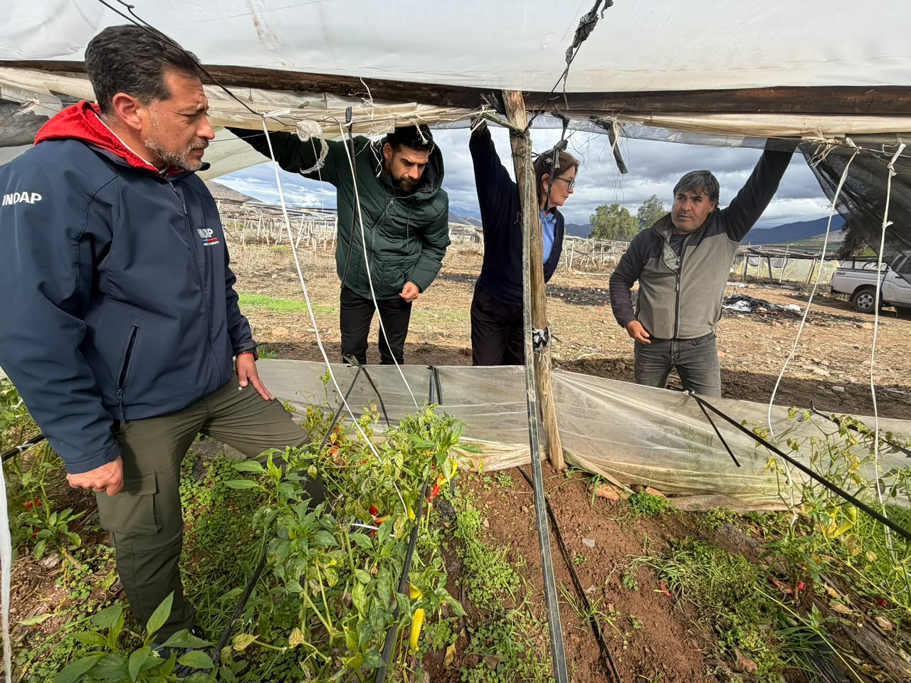 Agricultura declara emergencia agrícola en Coquimbo por sistema frontal — foto 1