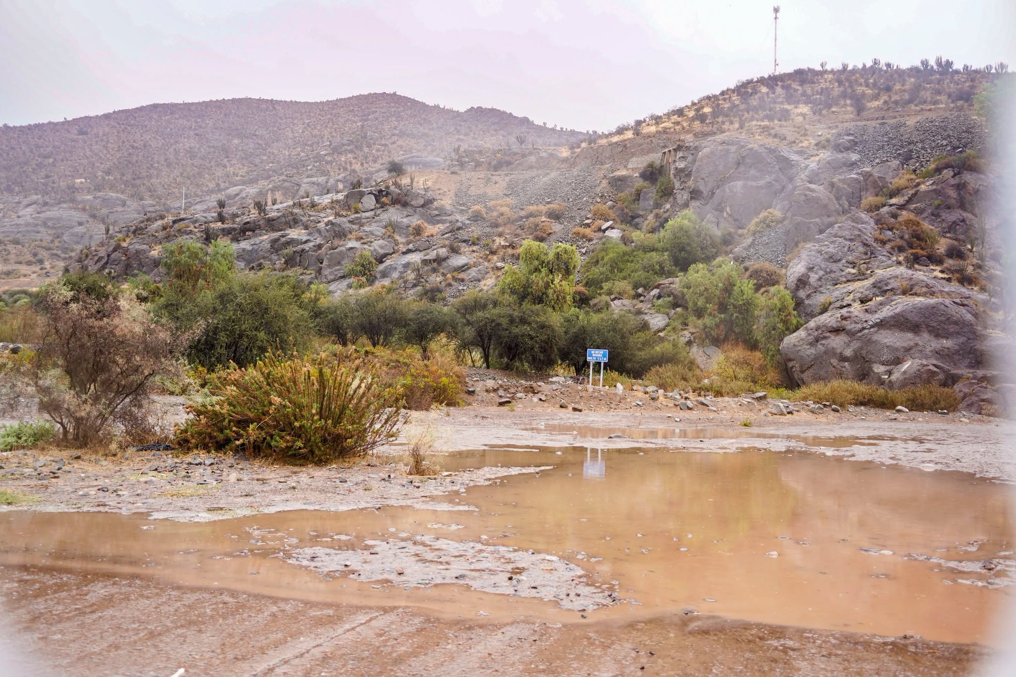 Sistema frontal deja 68 mm de lluvia y cortes de caminos en Monte Patria — foto 2