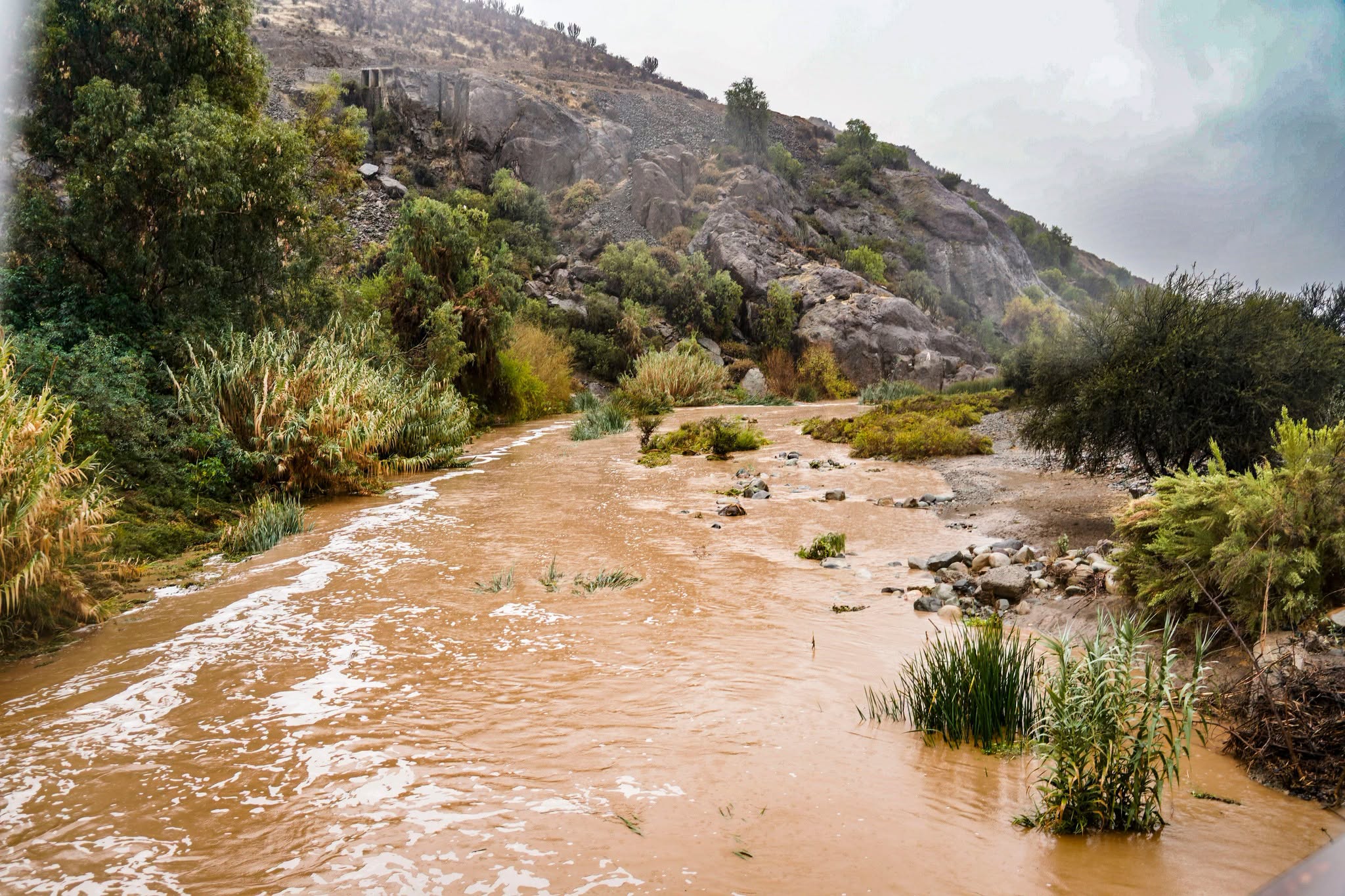 Sistema frontal deja 68 mm de lluvia y cortes de caminos en Monte Patria — foto 1