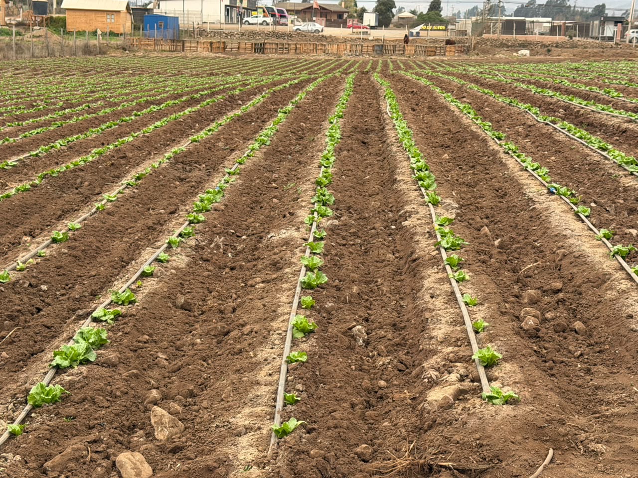Gobierno entrega recomendaciones preventivas al agro ante sistema frontal — foto 3