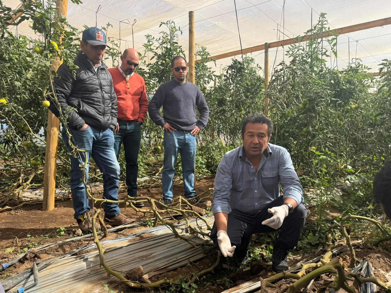 Corfo implementa tecnología de riego inteligente para 30 agricultores de Ovalle — foto 1