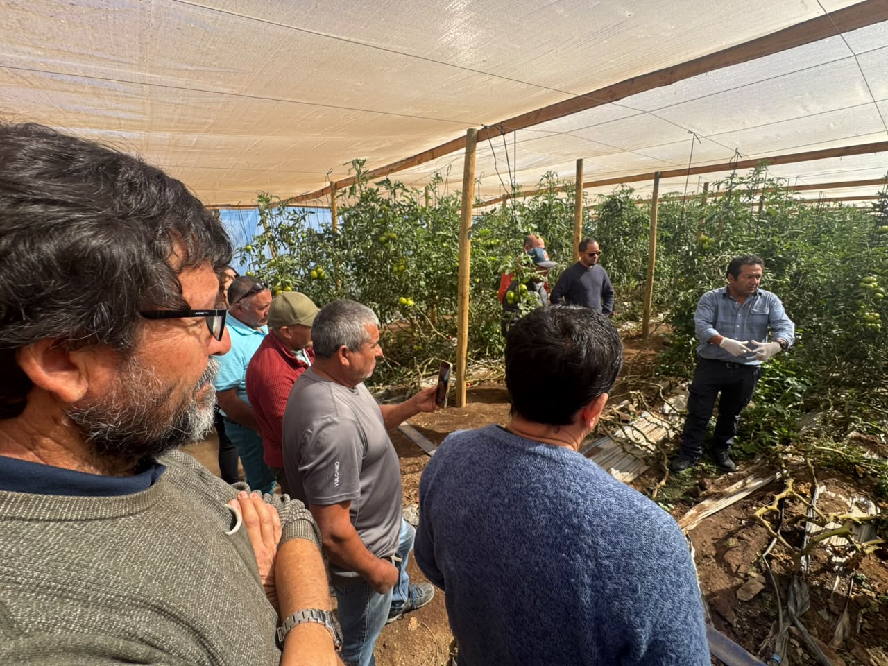 Corfo implementa tecnología de riego inteligente para 30 agricultores de Ovalle — foto 3