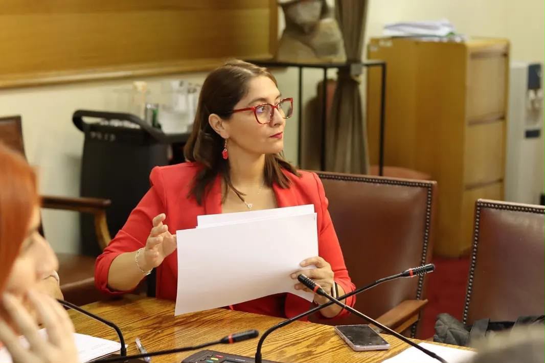 Diputada Castillo exige al SERNAC compensaciones por cortes eléctricos en Coquimbo