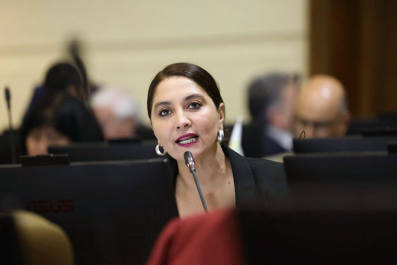Diputada Castillo pide flexibilizar jornada laboral tras sistema frontal en Coquimbo