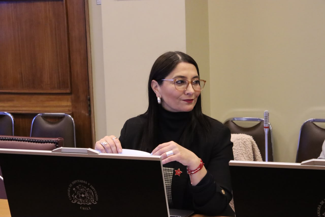 Diputada Castillo citará a Aguas del Valle por fallas en emergencia del sistema frontal