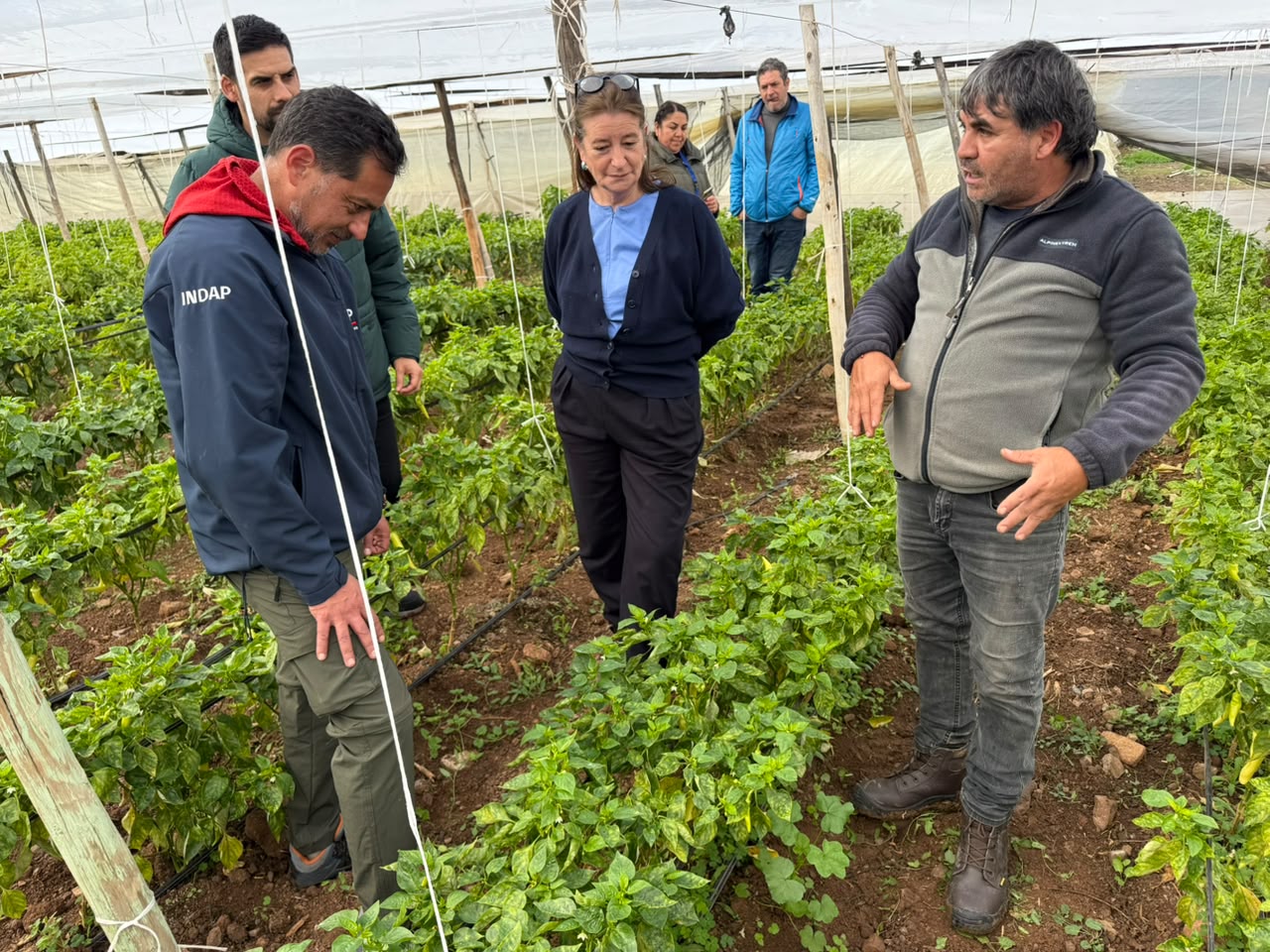 INDAP prorroga por 90 días pago de créditos tras sistema frontal en Coquimbo — foto 1