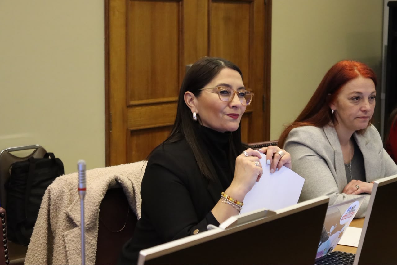 Diputada Castillo pide medidas preventivas ante sistema frontal para evitar aislamiento rural