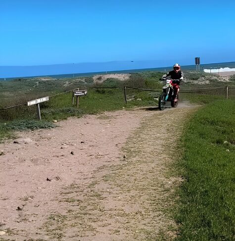 Seremi prohíbe motos en Humedal Río Elqui por nidificación del Pilpilén