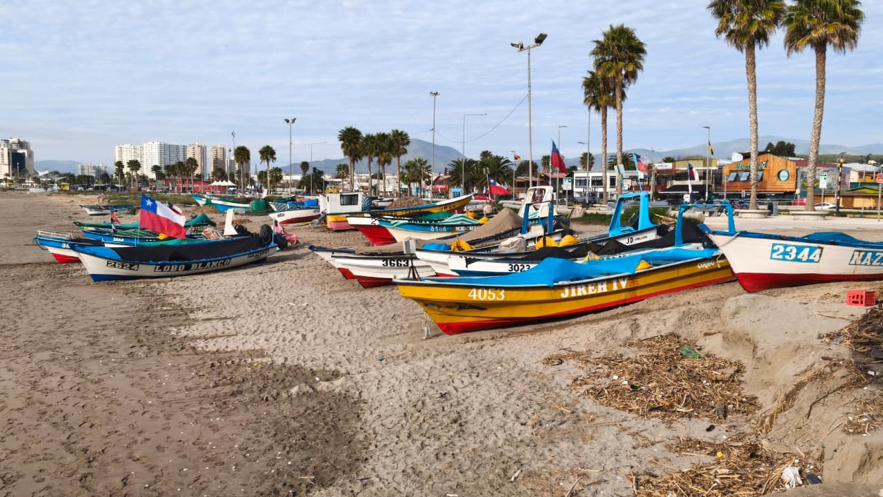 Cuarta entrega del Cupón Pesca Artesanal beneficia a 531 pescadores de Coquimbo