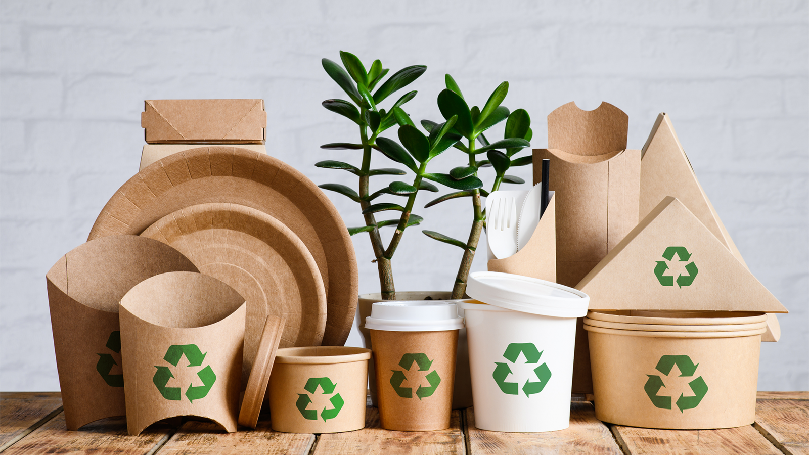 Usach abre concurso nacional de envases sustentables hasta septiembre