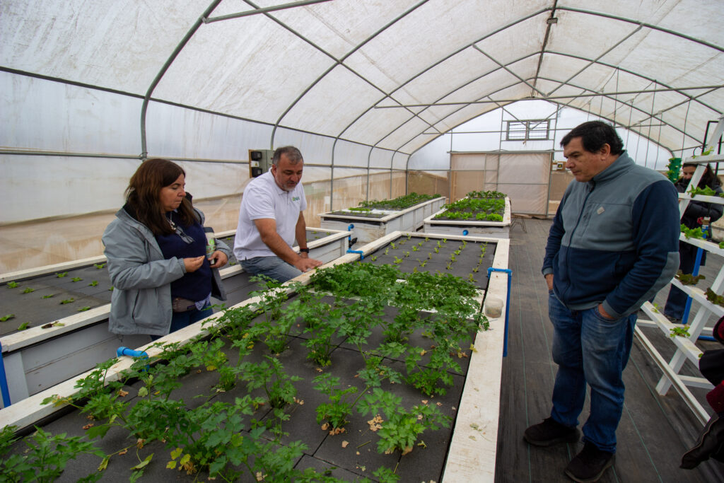 Agricultura regional usa satélites e IA para evaluar daños tras temporales