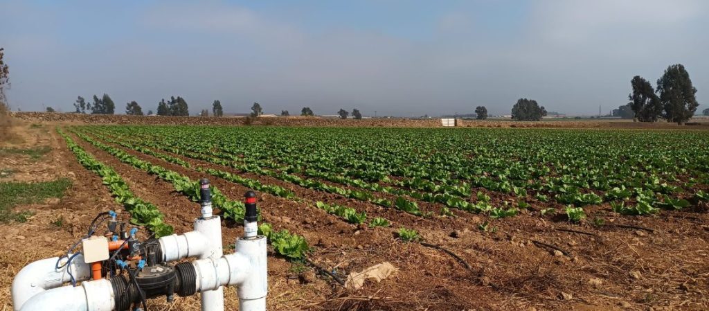 Agricultura regional usa satélites e IA para evaluar daños tras temporales — foto 6