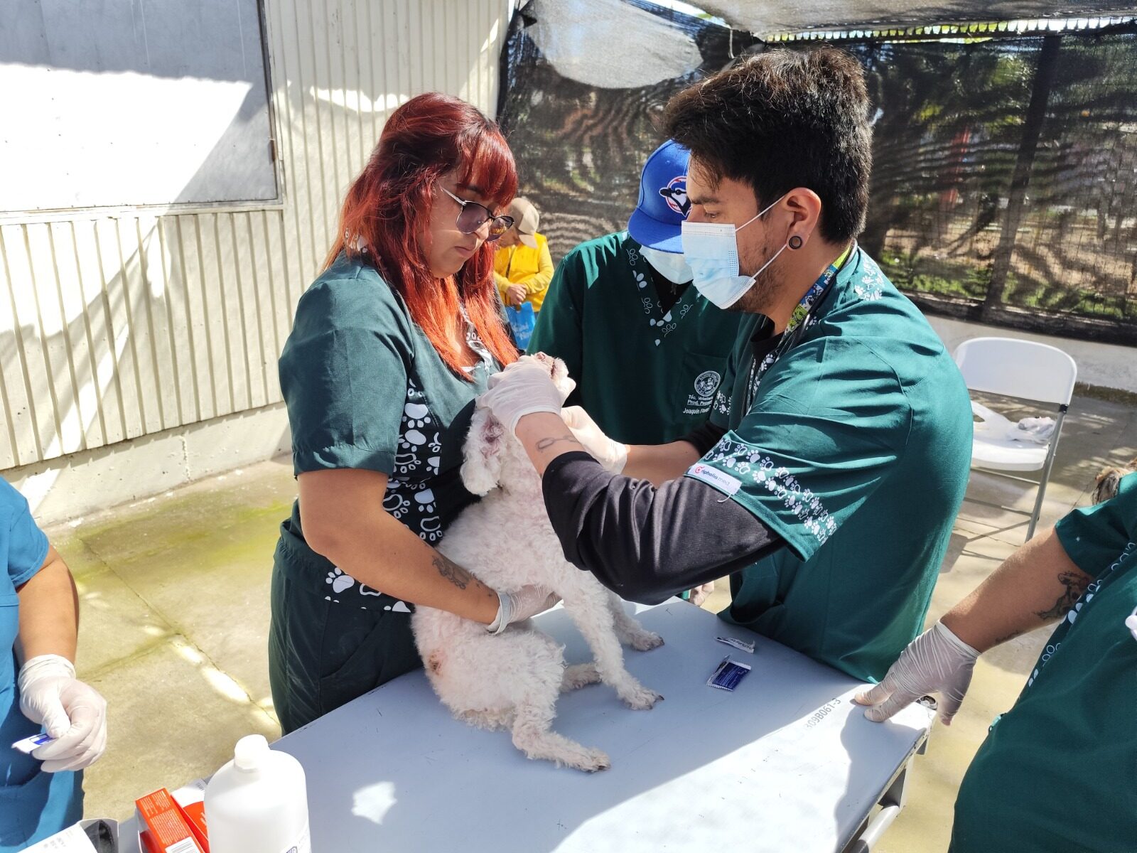 Operativo veterinario gratuito benefició a más de 20 mascotas en Tierras Blancas — foto 1