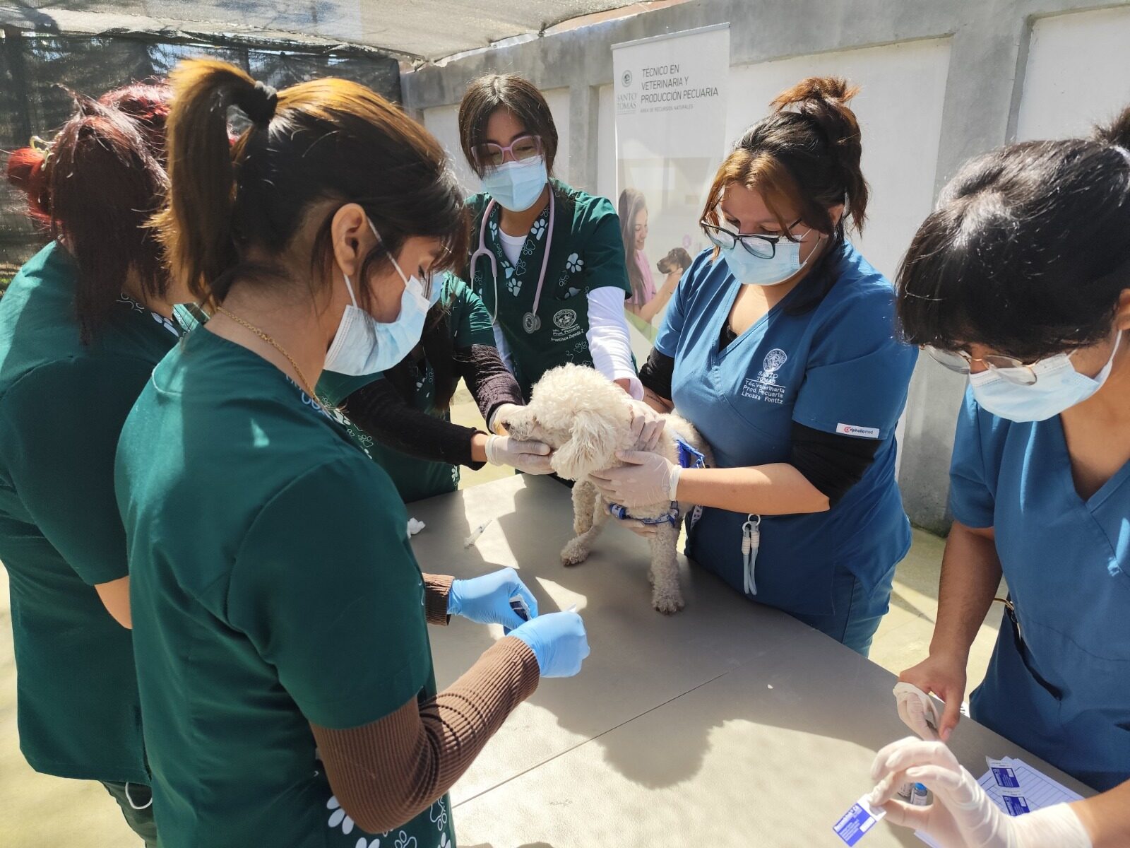 Operativo veterinario gratuito benefició a más de 20 mascotas en Tierras Blancas — foto 3