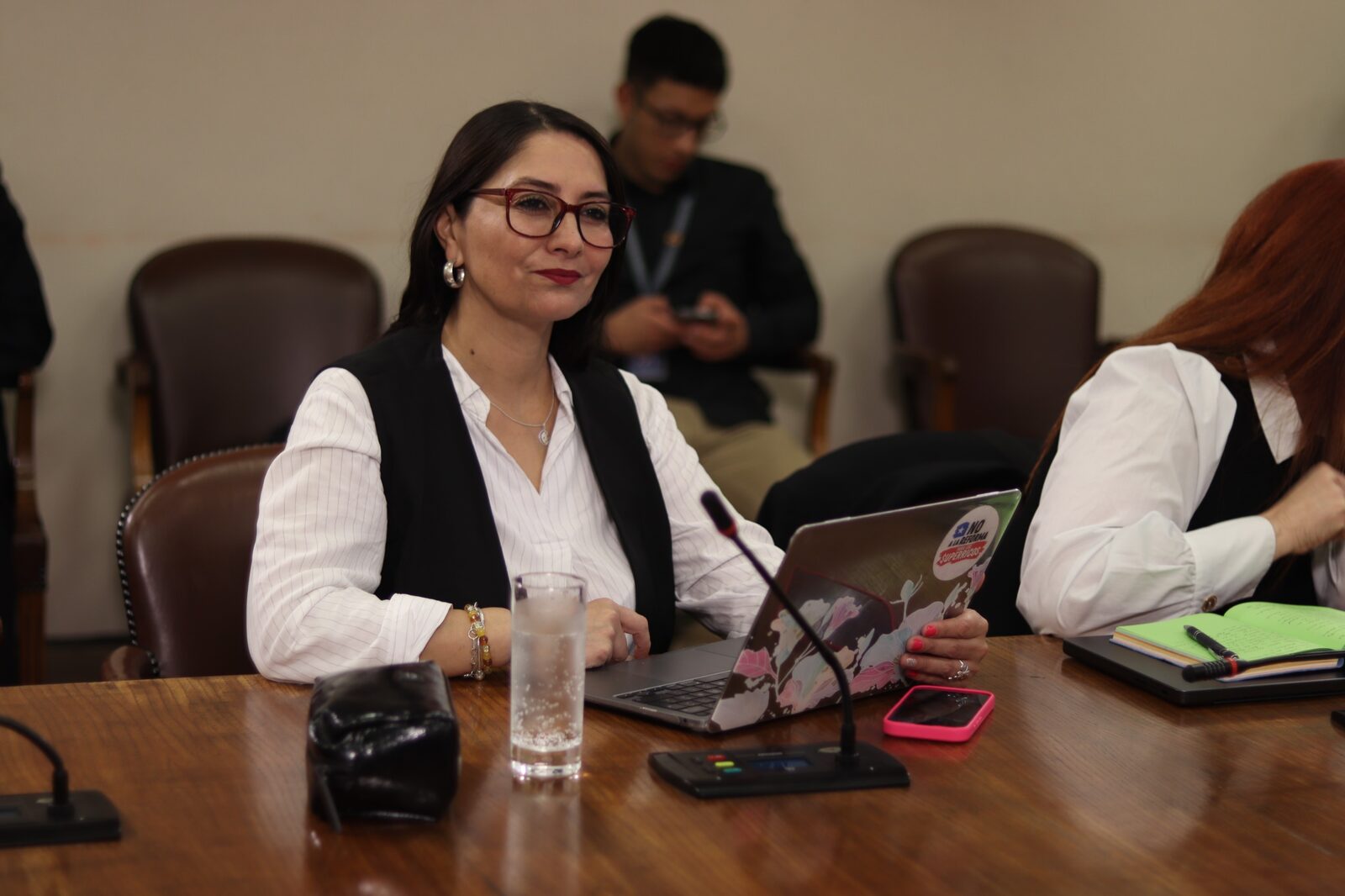 Diputada Castillo oficia a SEC por cobros irregulares en medidores Nansen de Enel