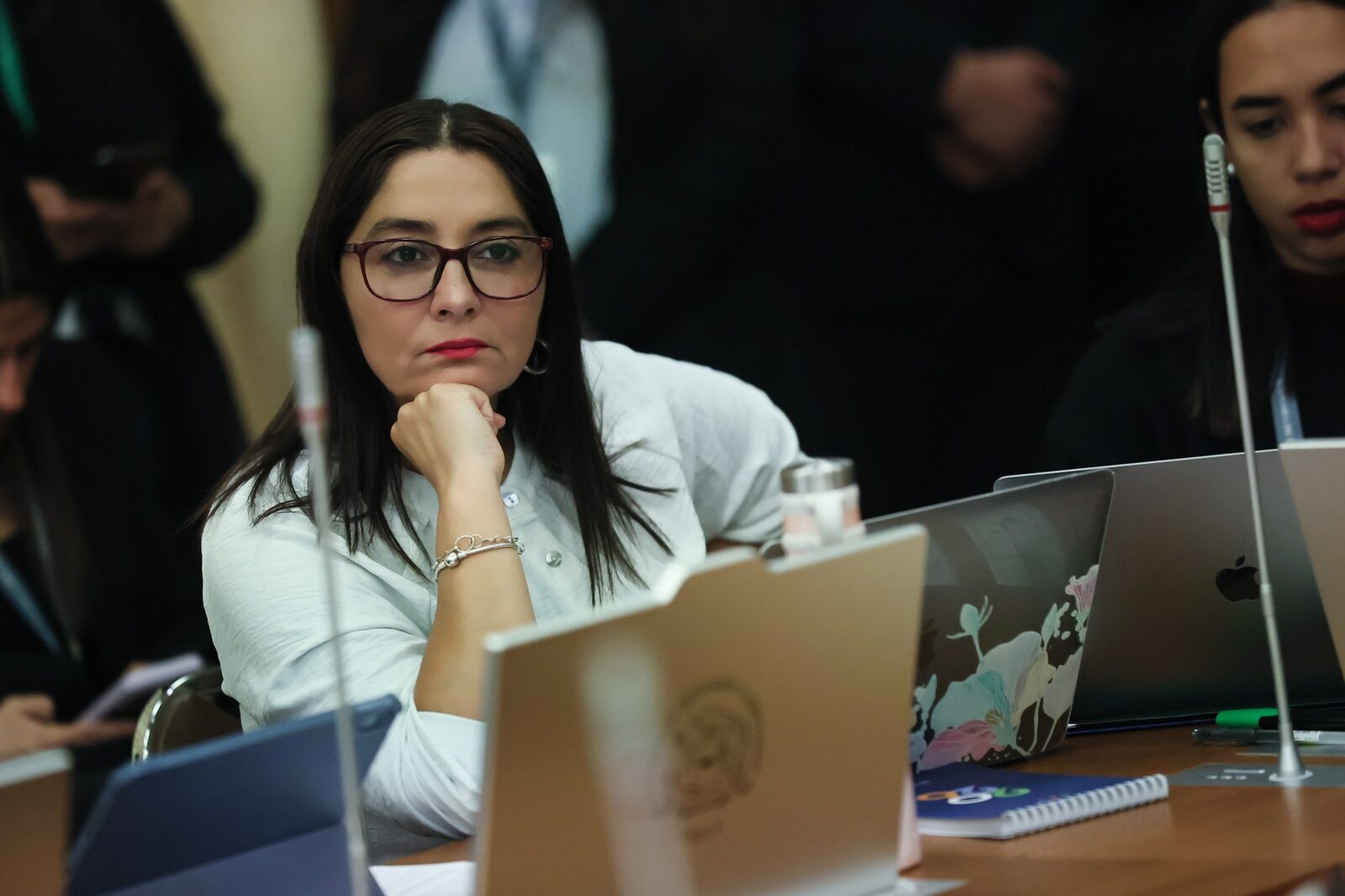 Diputada Castillo critica insistencia del Gobierno con reforma de expulsión de migrantes