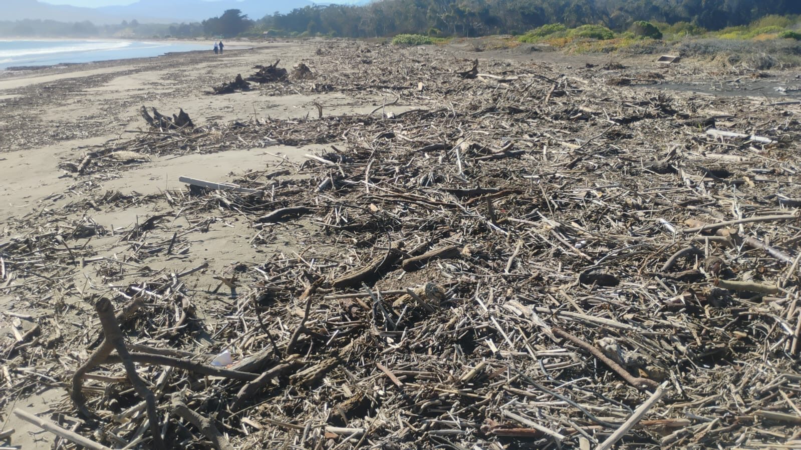 Los Vilos culmina limpieza del borde costero de Pichidangui tras sistema frontal — foto 5