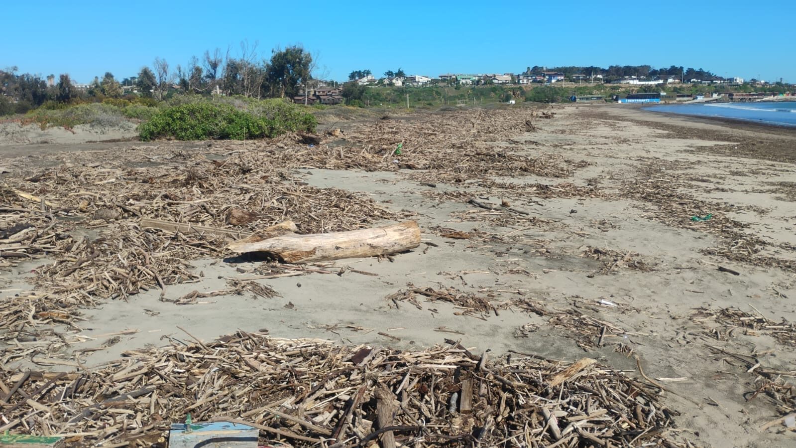 Los Vilos culmina limpieza del borde costero de Pichidangui tras sistema frontal — foto 4