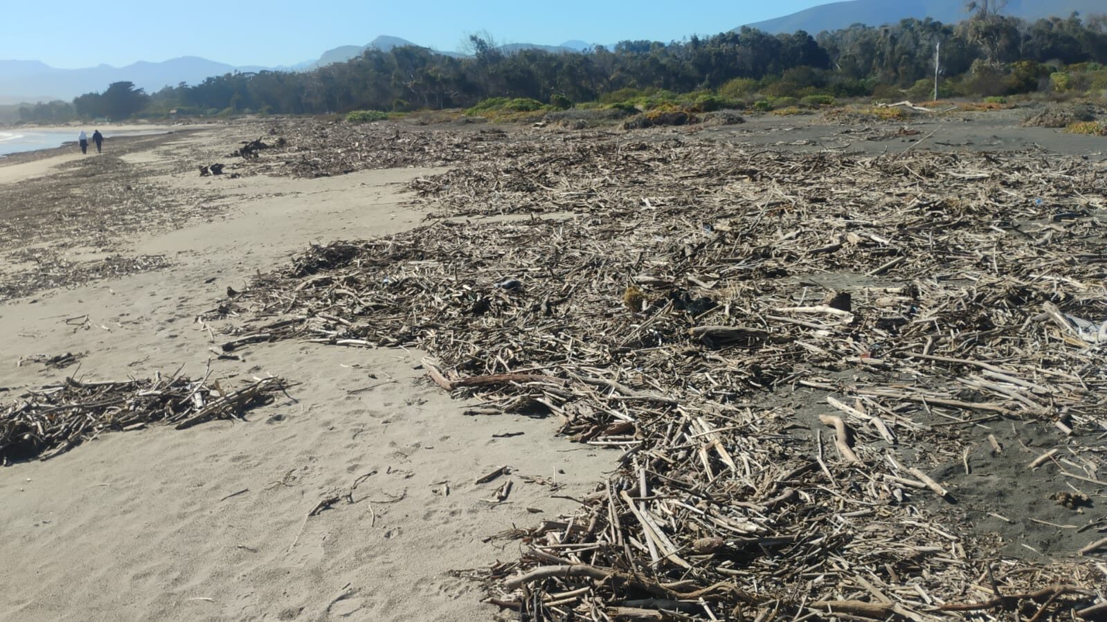 Los Vilos culmina limpieza del borde costero de Pichidangui tras sistema frontal — foto 3