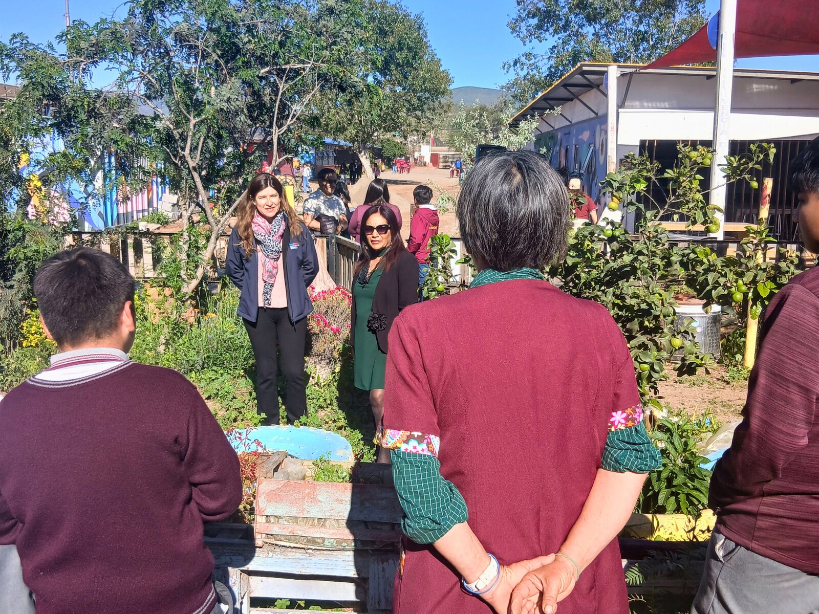 Escuela de Pan de Azúcar logra reproducir lucumillo, especie en peligro de extinción — foto 1