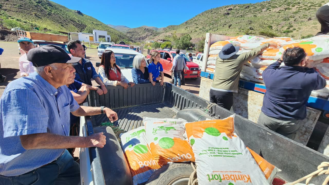 INDAP entrega 26 mil kilos de alimento a 104 productores de Río Hurtado
