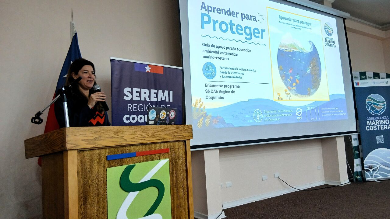 Lanzan guía pedagógica de educación ambiental marino-costera para colegios de Chile — foto 2