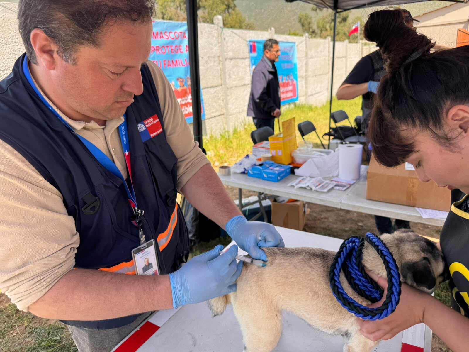 Más de 300 mascotas vacunadas contra la rabia en la región
