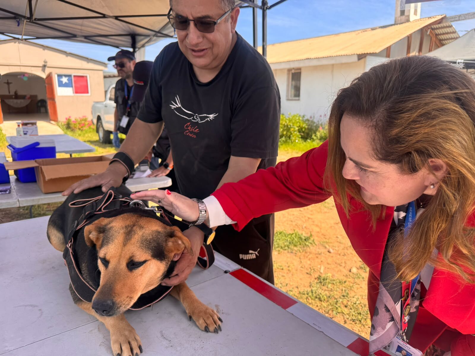 Más de 300 mascotas vacunadas contra la rabia en la región — foto 1