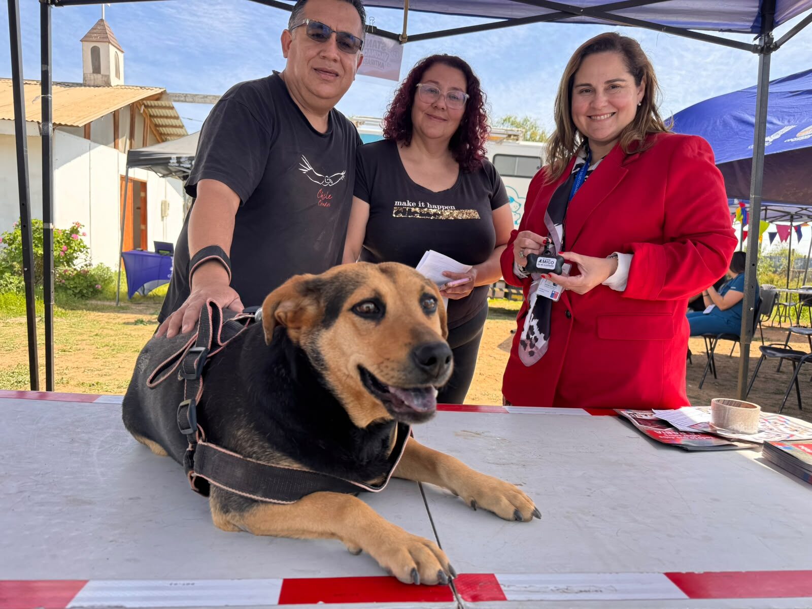 Más de 300 mascotas vacunadas contra la rabia en la región — foto 2