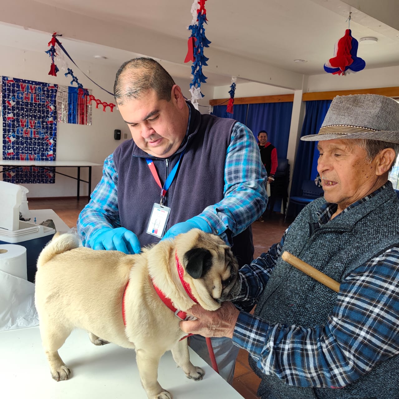 Más de 300 mascotas vacunadas contra la rabia en la región — foto 4
