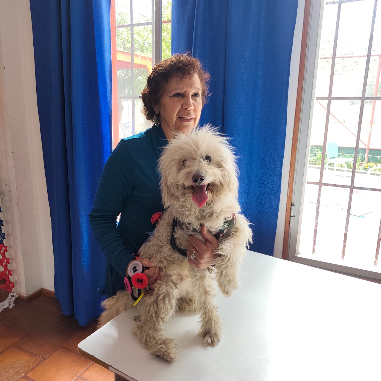 Más de 300 mascotas vacunadas contra la rabia en la región — foto 5