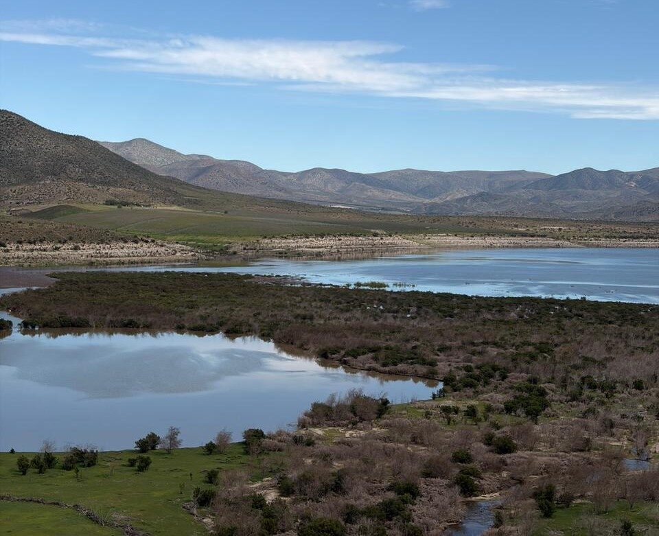 Isla Condorito recupera afluencia turística tras llenado del Embalse La Paloma — foto 4