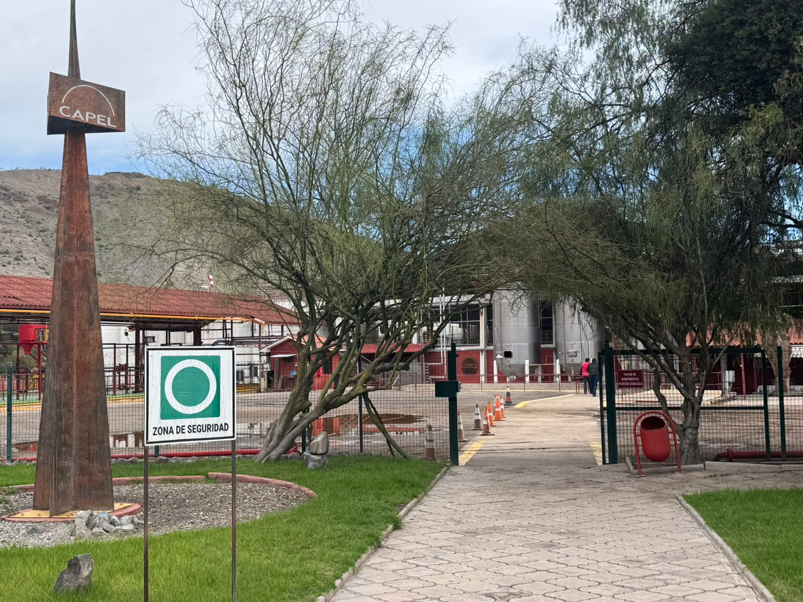CAPEL y Corfo coordinan apoyos para productores afectados por temporal de julio — foto 3