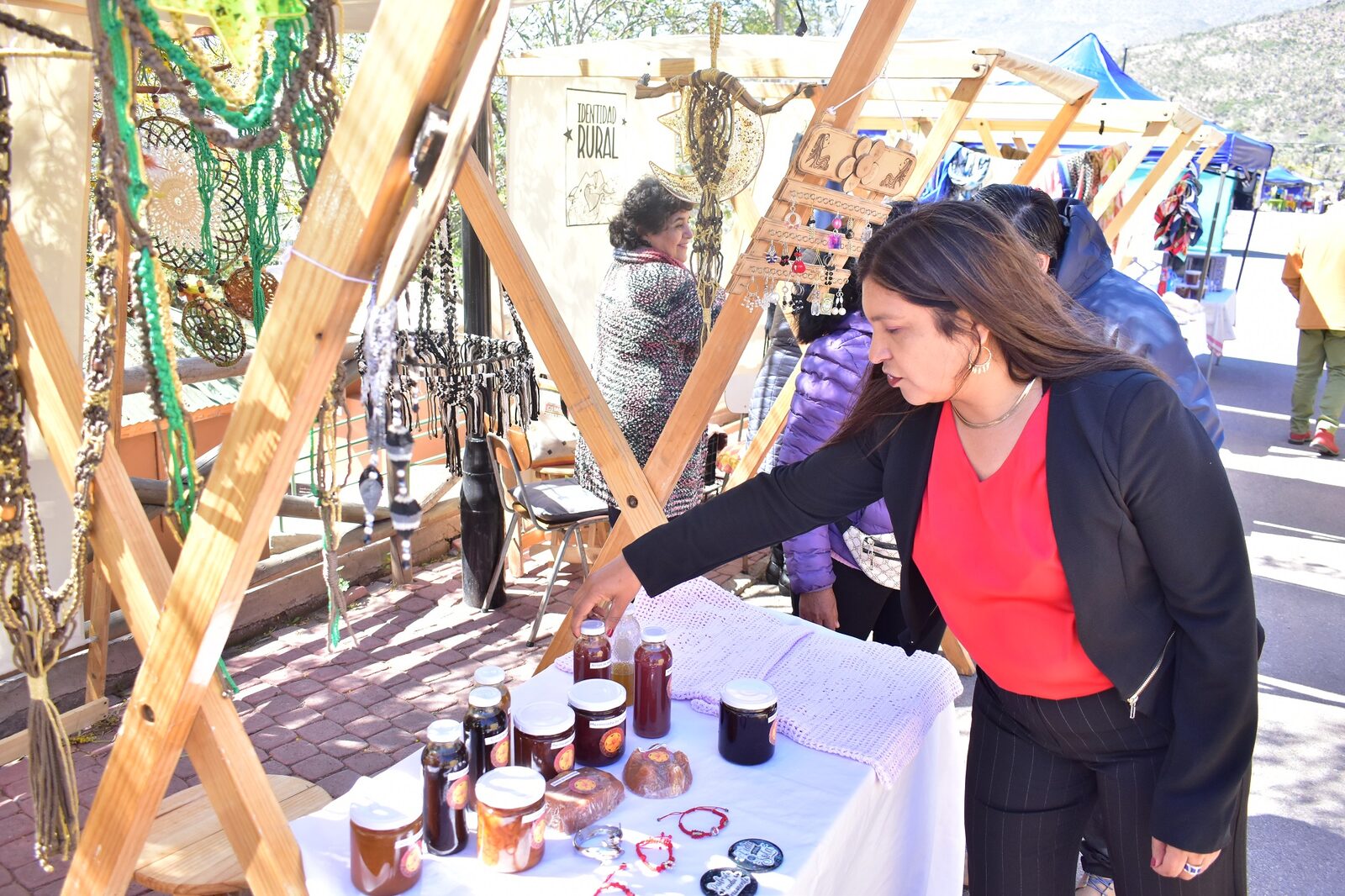 Río Hurtado realizará Fiesta Productiva de la Chilenidad en Tahuinco — foto 2