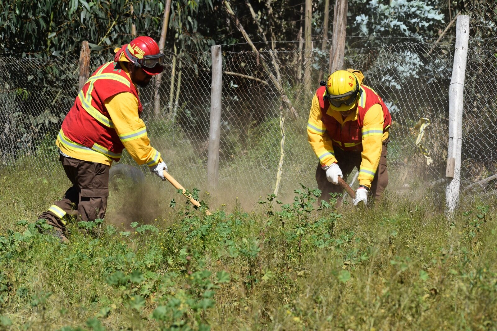 Gobierno creará 177 empleos para prevención de incendios forestales en Coquimbo — foto 2