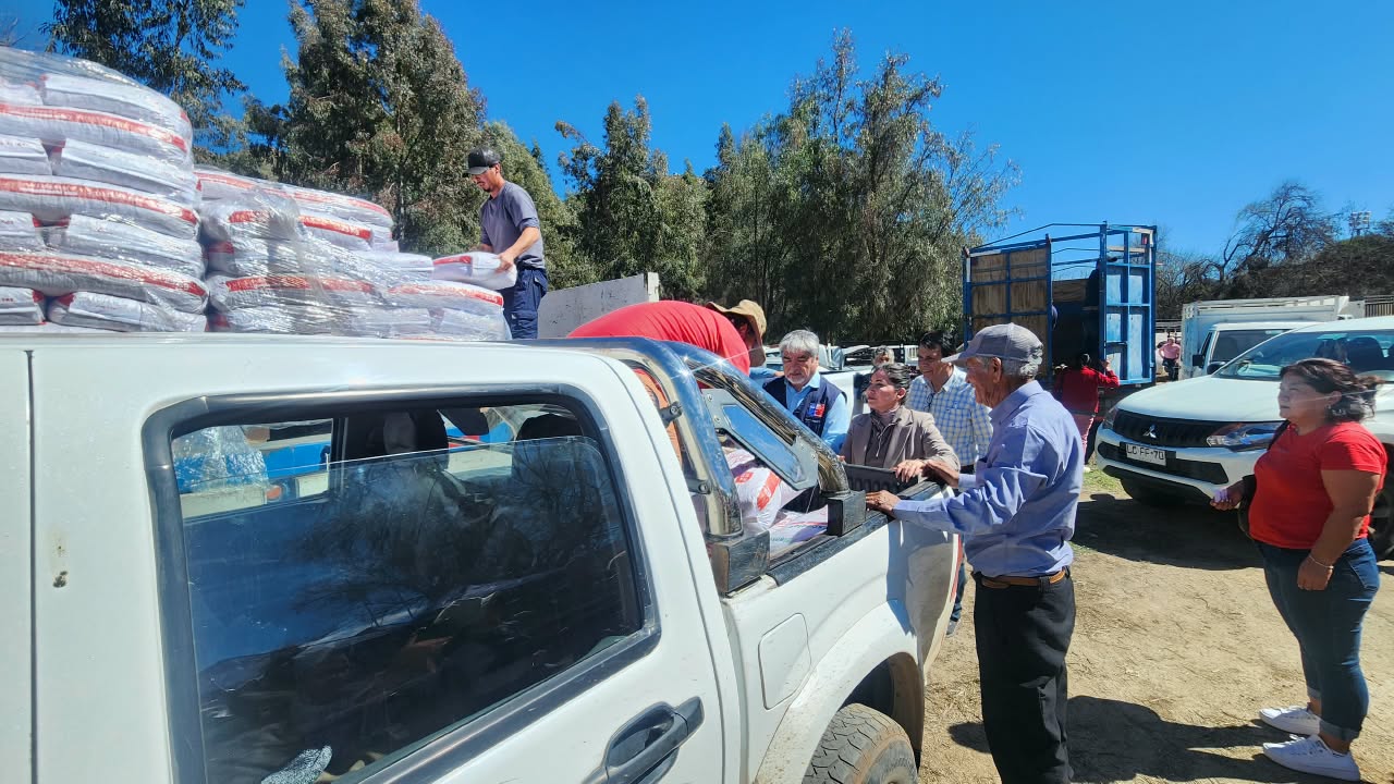 INDAP entrega alimento a 115 productores caprinos y apícolas de Salamanca tras temporal — foto 3