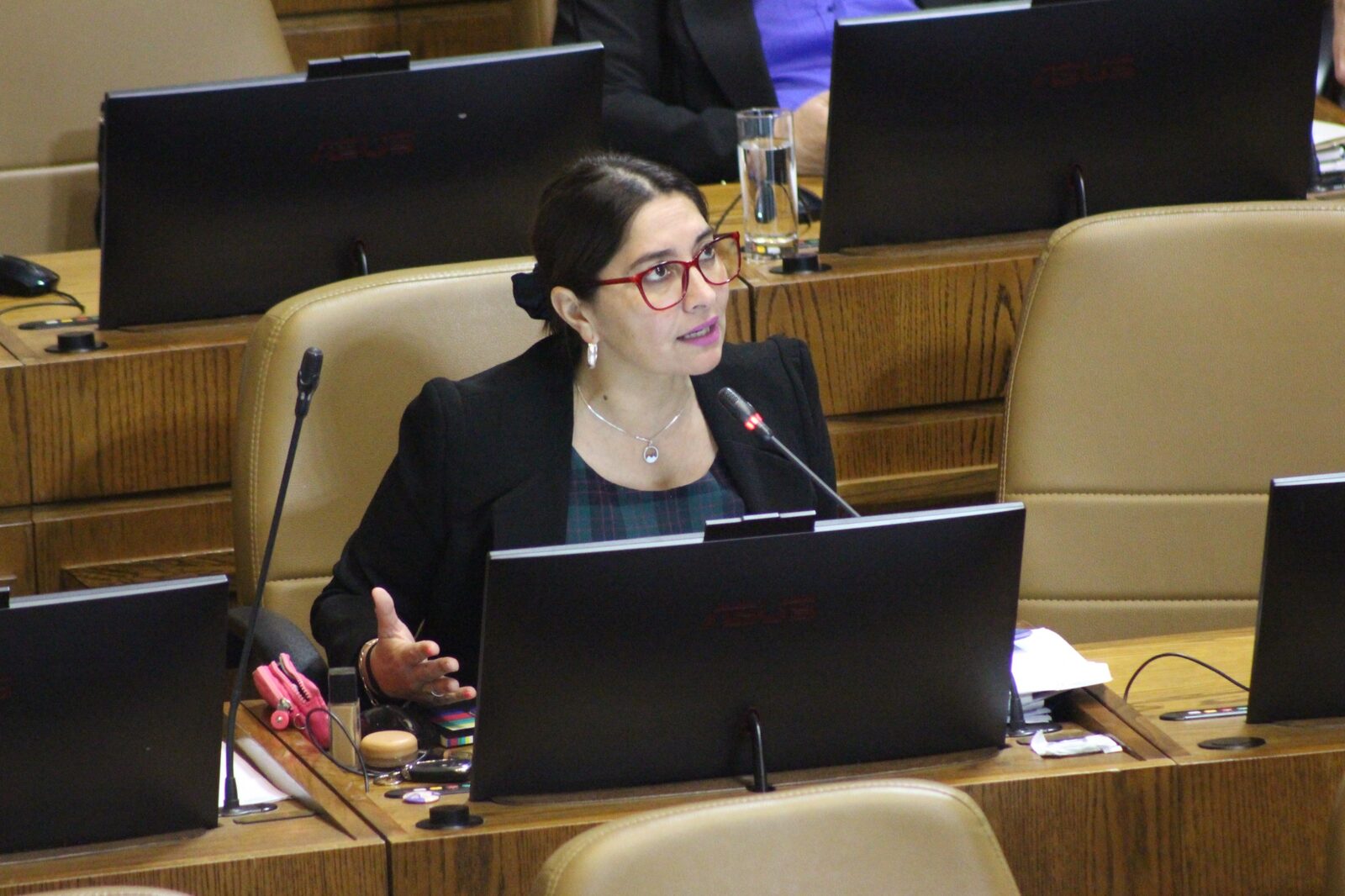 Diputada Castillo cuestiona visita de republicanas a condenado por muerte de Romario Veloz