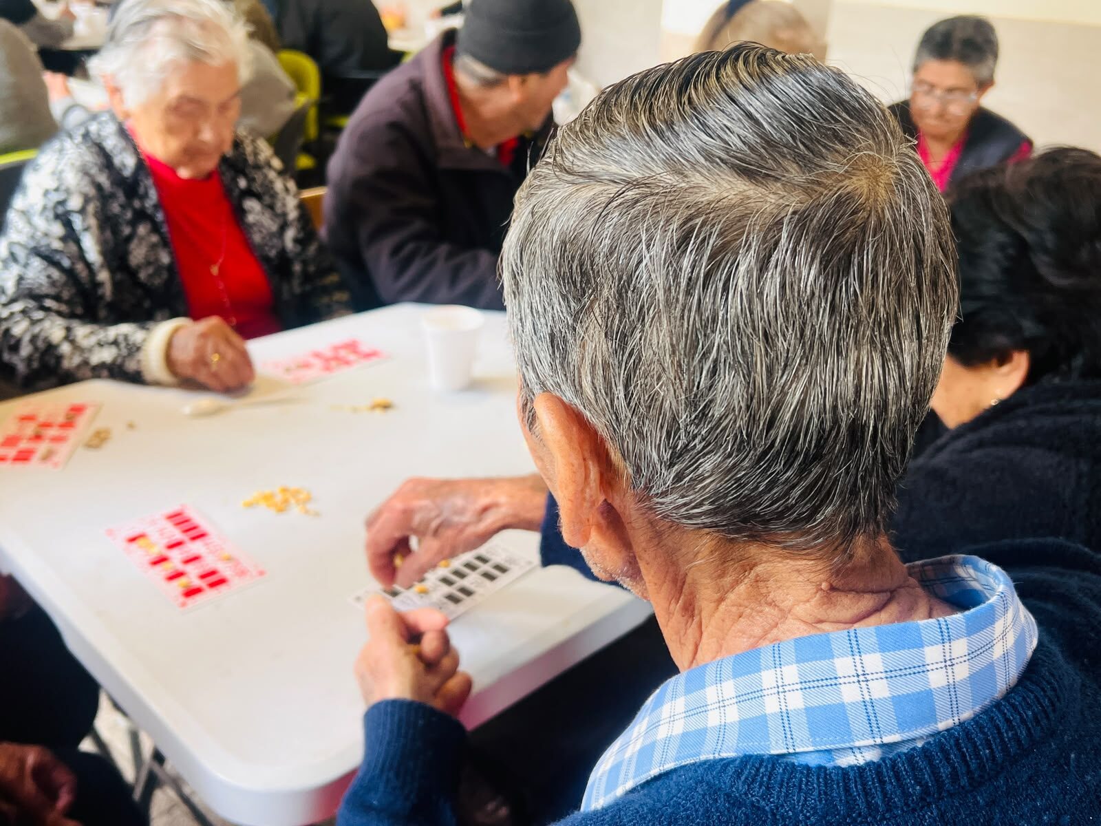 CESFAM Chañaral Alto realizó Juegos Olímpicos del Saber para personas mayores — foto 2