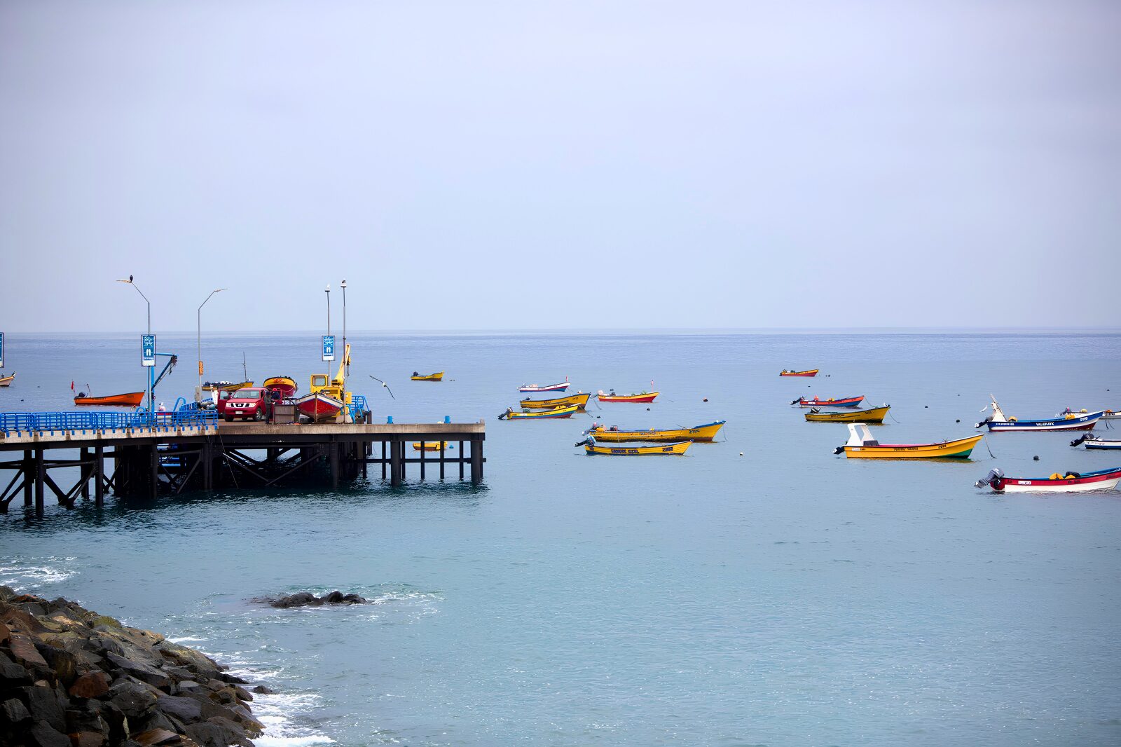 FAO y Seremi lanzan curso gratuito para proteger ecosistema marino de Coquimbo