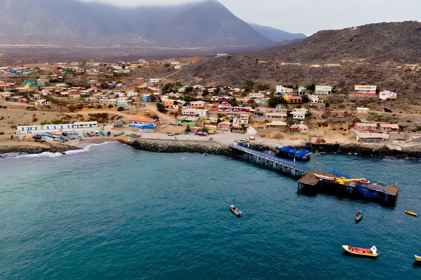 FAO y Seremi lanzan curso gratuito para proteger ecosistema marino de Coquimbo — foto 1
