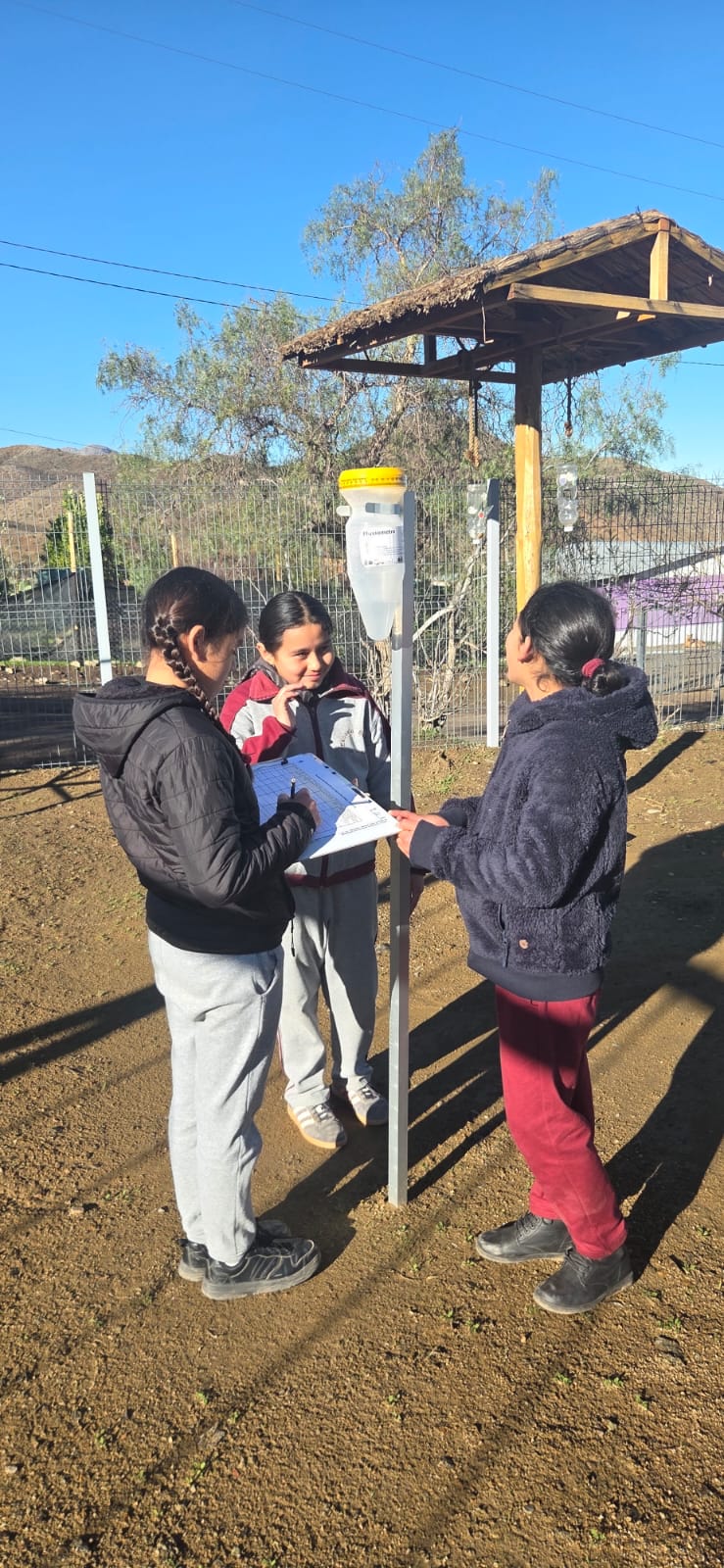Red ciudadana registró precipitaciones del temporal de julio en cordillera de Coquimbo — foto 5