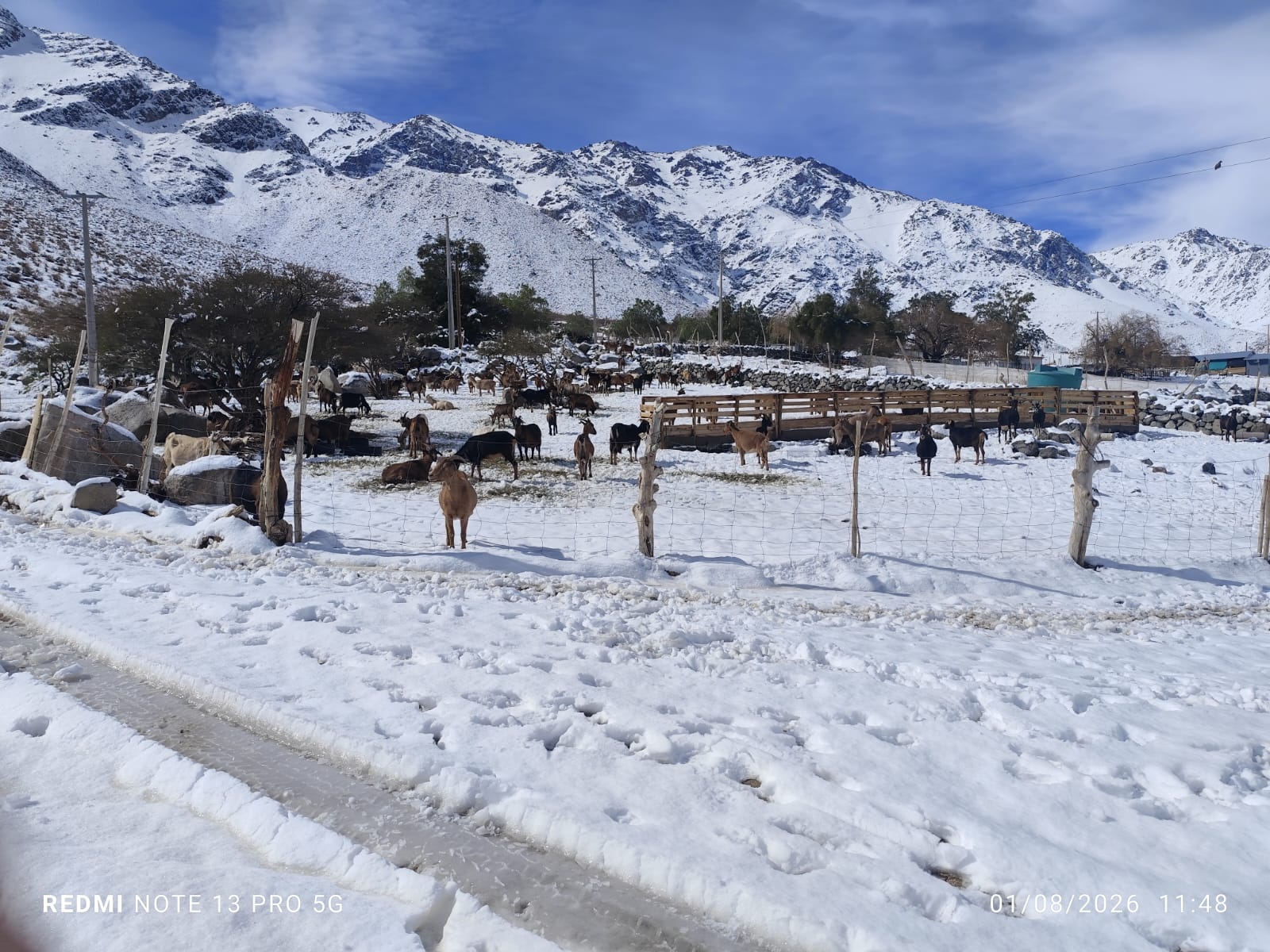 Red ciudadana registró precipitaciones del temporal de julio en cordillera de Coquimbo — foto 4